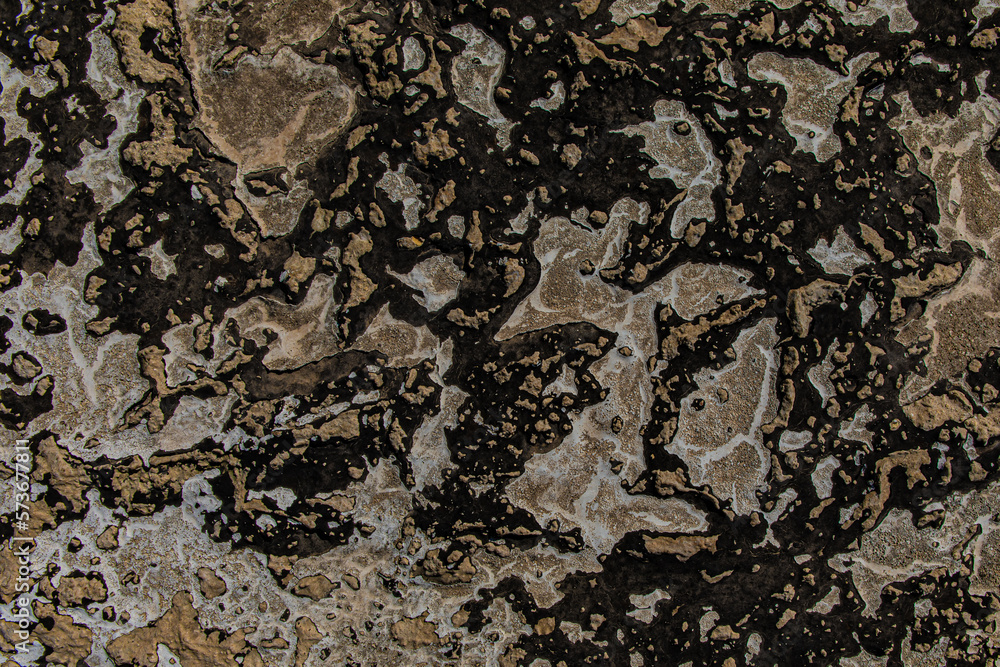 Fototapeta premium stone wall texture