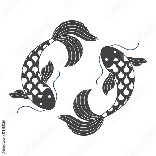 Two Japanese Koi Carp Fish Swimming in Circle