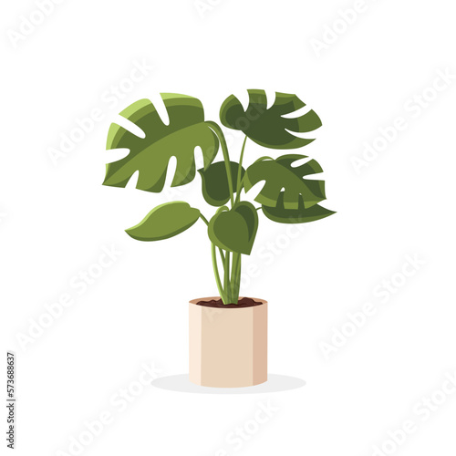 Monstera. Home plant in the minimalistic pot. Home decor and gardening concept. Cute isolated vector illustration for product design and decoration