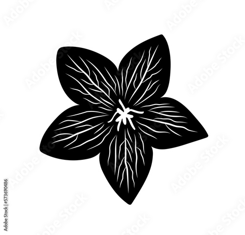 bell (Campanula) flower isolated on white background