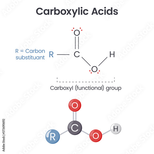 Carboxylic Acid chemical functional group scientific vector illustration infographic