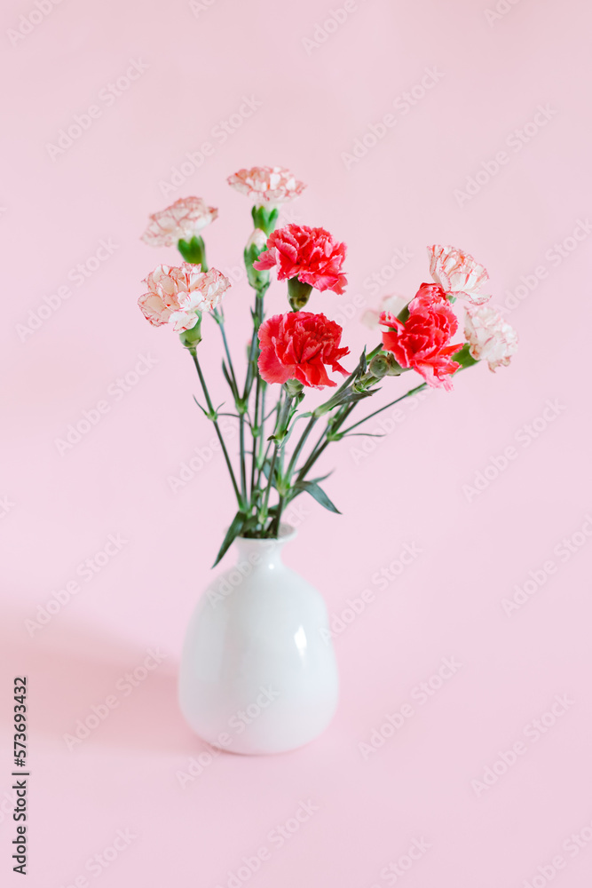Fototapeta premium Beautiful pink and white Carnation flowers on a pink pastel background.