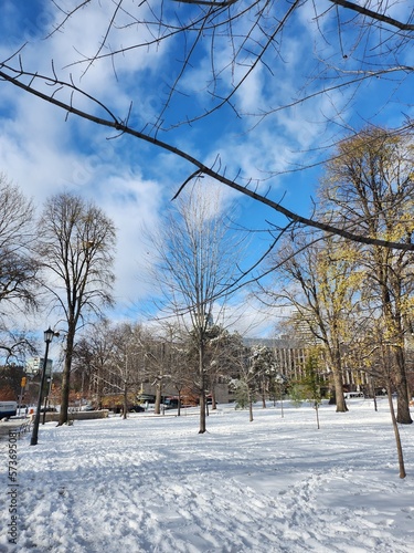 Photography Winter in Toronto