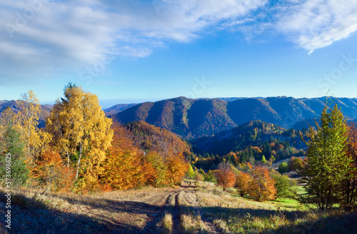 Sunny autumn mountain panorama with colorful  trees and country road on mountainside. © wildman