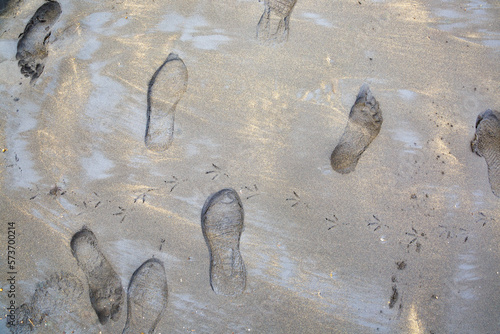 Footprint and bird tracks, on the beach, view from the top.