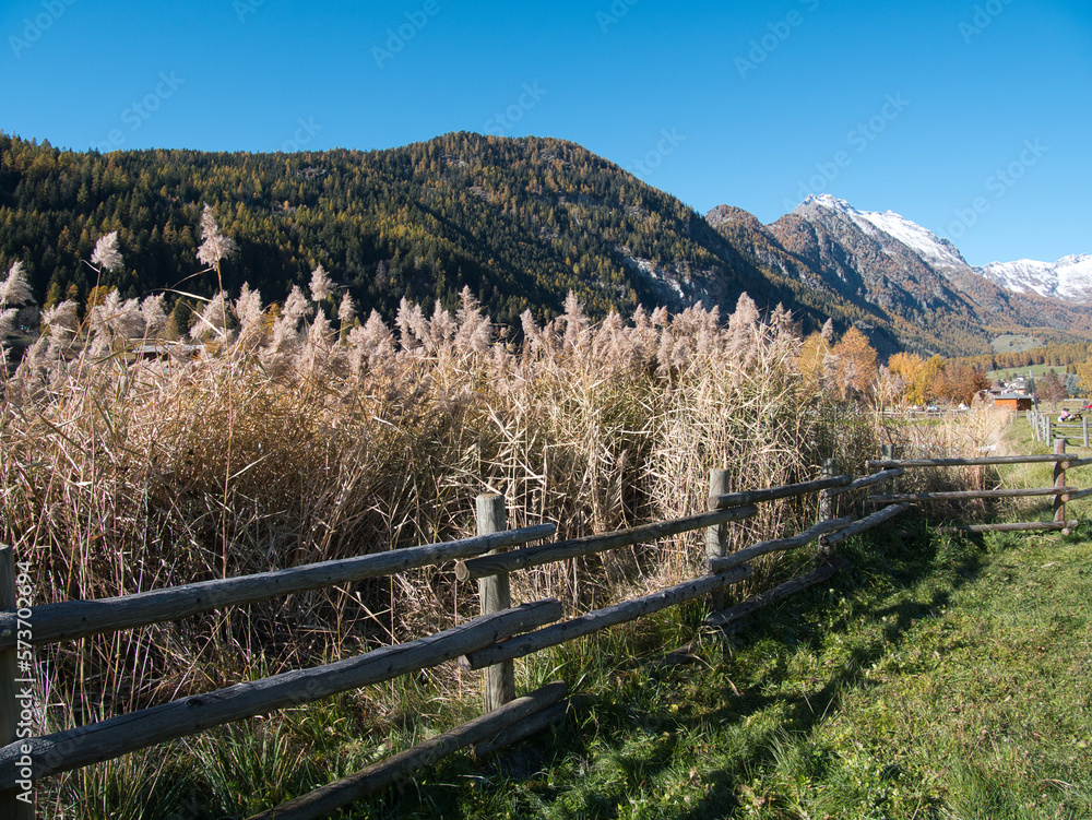 Around Brusson lake in autumn. Ayas valley, Italy. Around Brusson lake in autumn. Ayas valley, Italy.