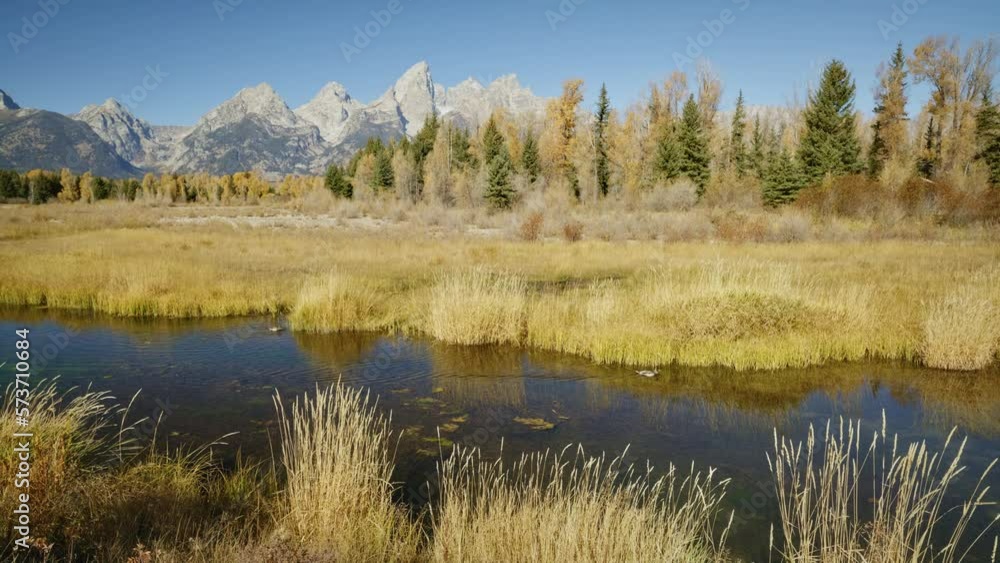 Steady Stream At Autumn Grand Tetons Steady Stream At Autumn Grand Tetons