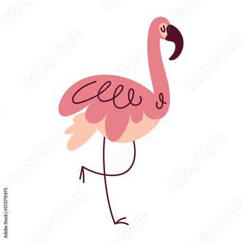pink flamingo bird