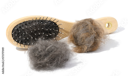 Wooden brush for combing animal fur and gray balls of cat fur on a white background