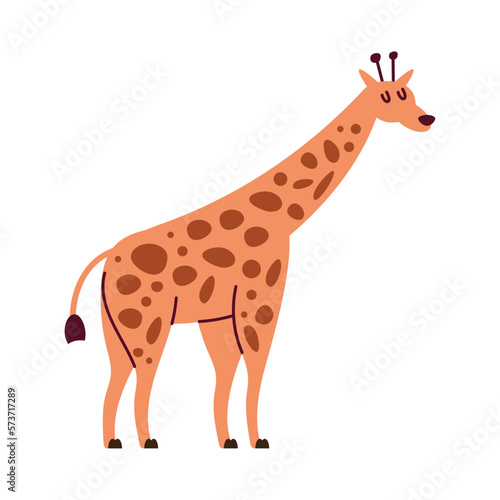 cute giraffe wild animal