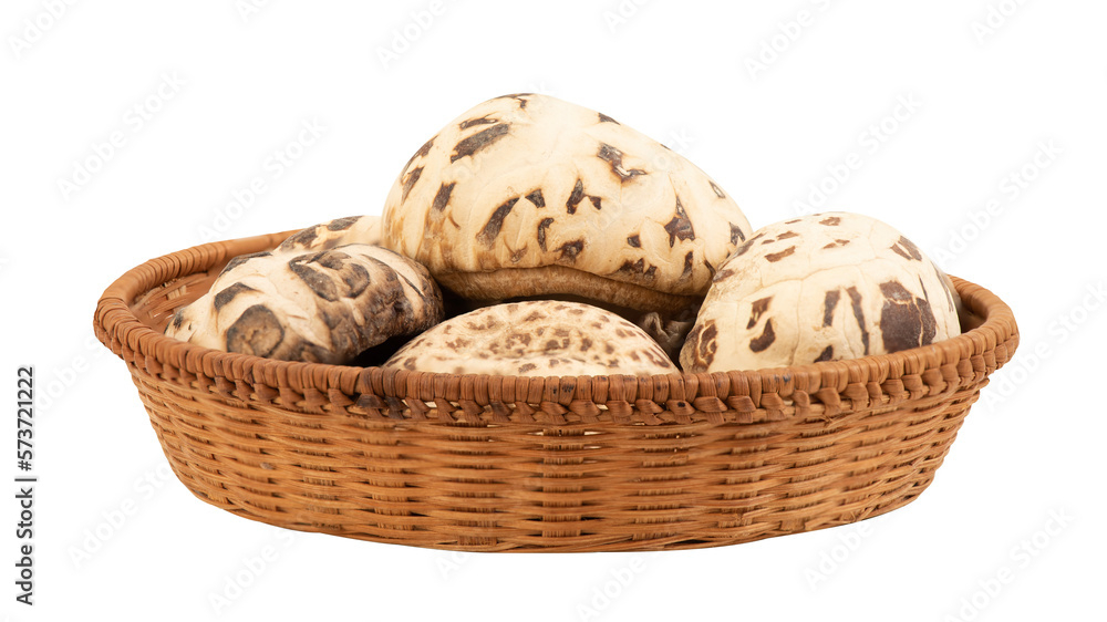Dired shiitake mushroom on transparent background. Dired shiitake mushroom on transparent background.