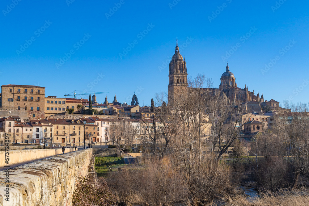 Catedral de Salamanca desde el puente romano