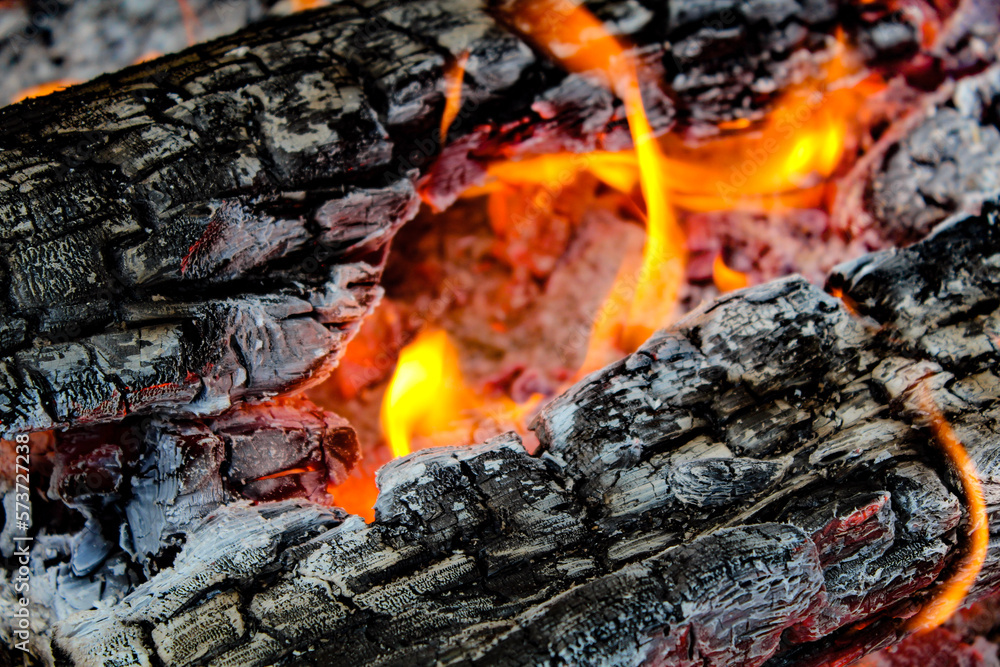 fire in log fire in log