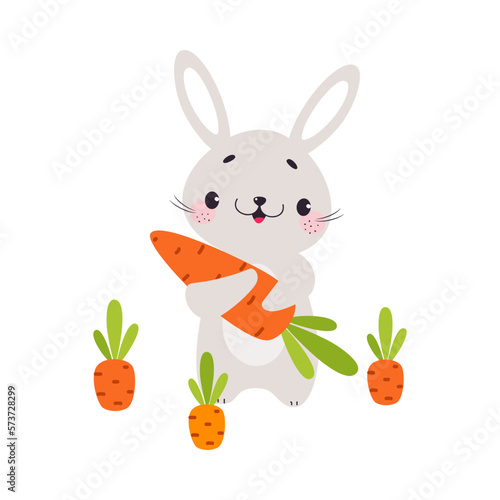 Cute Grey Bunny Character Holding Ripe Carrot Crop Vector Illustration