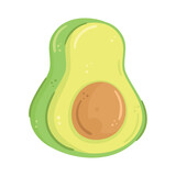 fresh avocado vegetable
