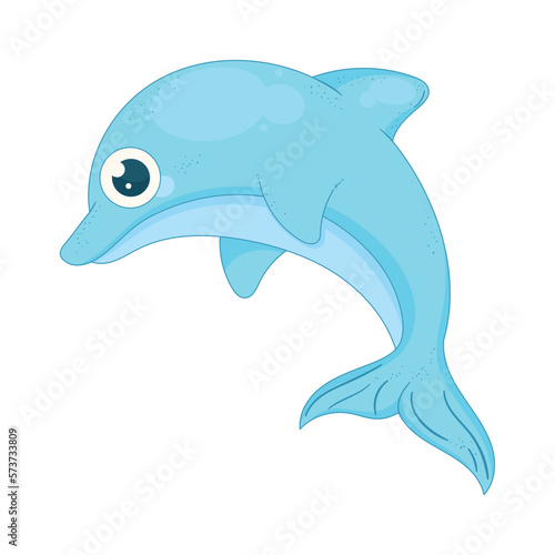 dolphin swiming sealife