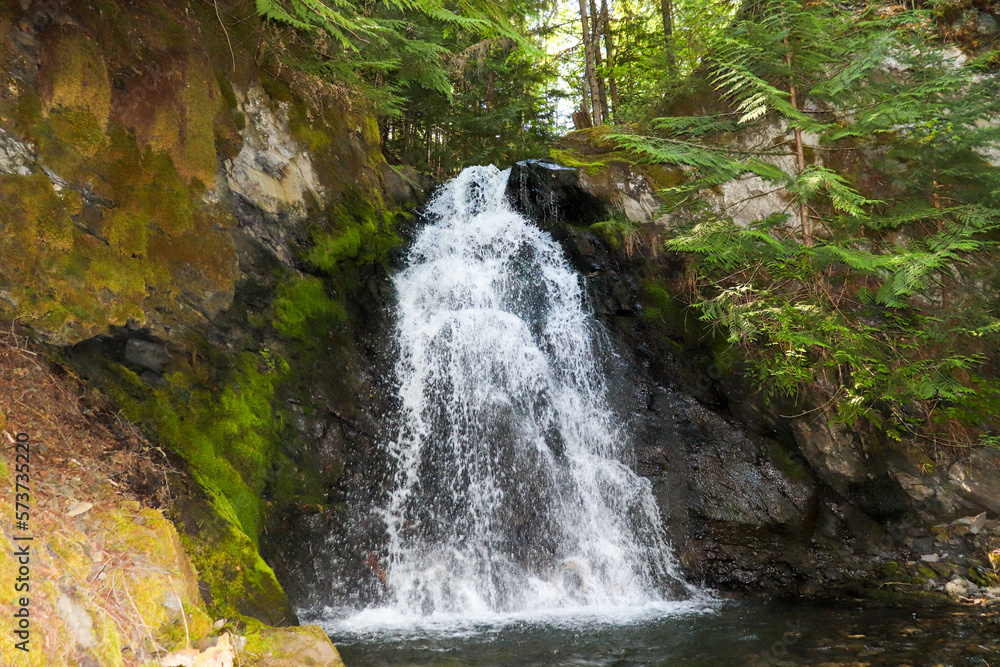 Fototapeta premium Waterfall in the forest