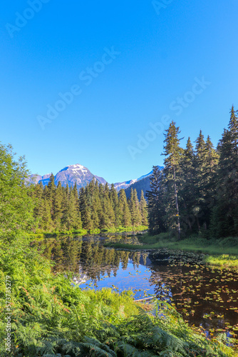 Seymour Lake Portrait