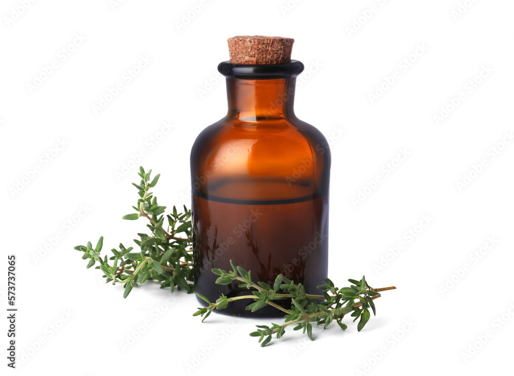 Bottle of thyme essential oil and fresh plant isolated on white Bottle of thyme essential oil and fresh plant isolated on white