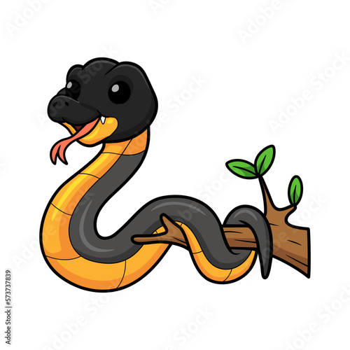 Cute northern ringneck snake cartoon on tree branch