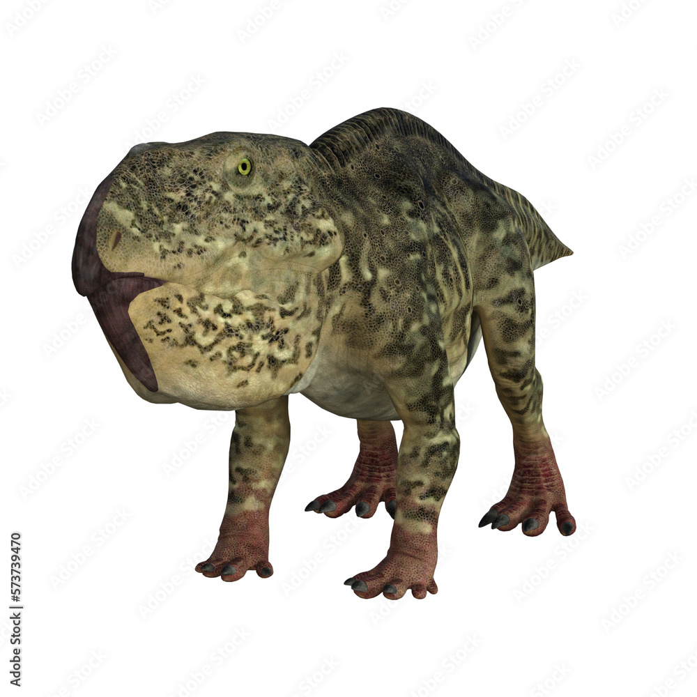 udanoceratops isolated