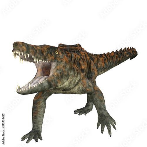 Fototapeta Naklejka Na Ścianę i Meble -  Uberabasuchus dinosaur isolated