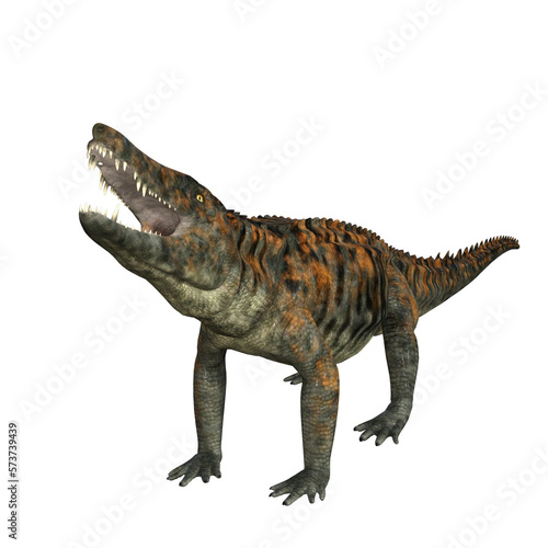 Uberabasuchus dinosaur isolated