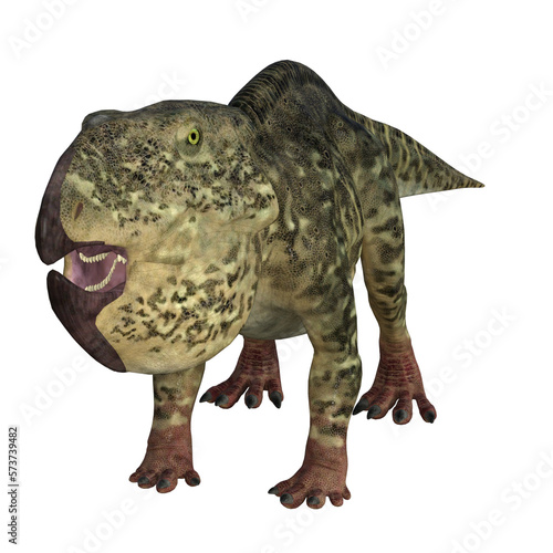 udanoceratops isolated