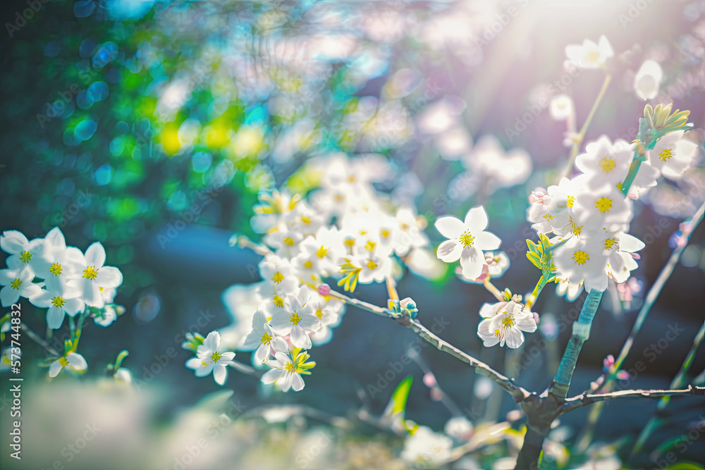 Beauty of the coming spring, branches of blooming white apple blossoms is bathed in the warm glow of the sun. petals flowers are depicted capturing the essence of their delicate beauty ai
