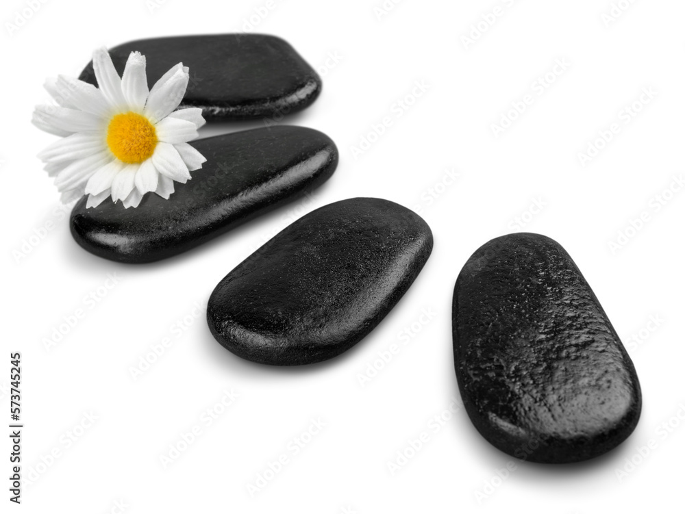 Flower and Pebbles Flower and Pebbles