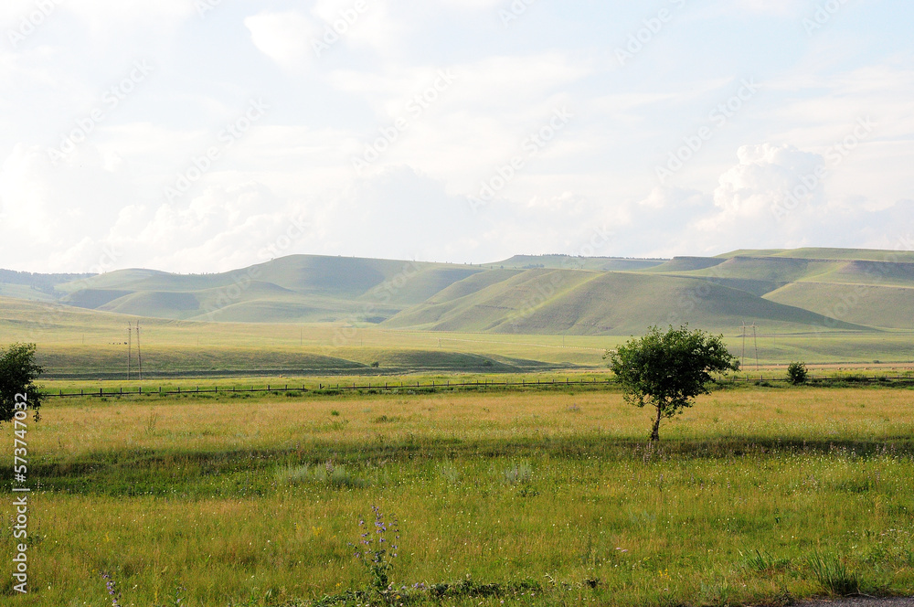 Lonely low bushes in the endless summer steppe at the foot of a high ridge of gently sloping hills.