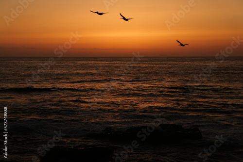 sunset on the beach © Lance