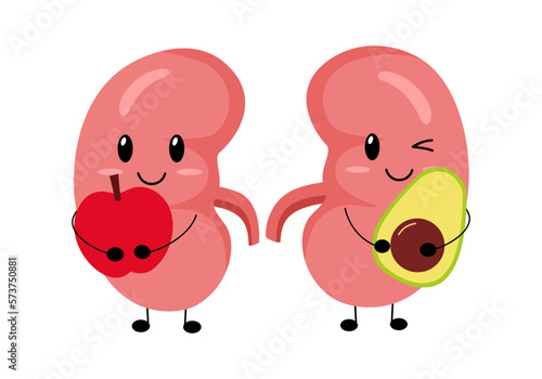 Healthy kidney concept vector illustration. Cute kidneys cartoon holding apple and avocado in flat design on white background.