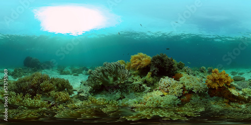 Underwater fish reef marine. Tropical colourful underwater seascape. Philippines. 360 panorama VR