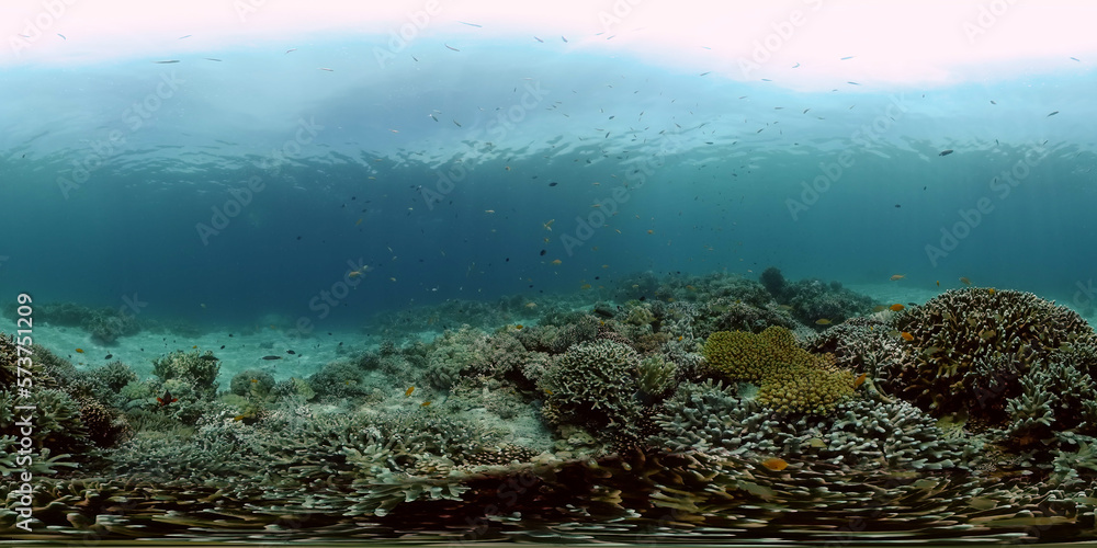 Coral garden seascape and underwater world. Colorful tropical coral reefs. Life coral reef. Philippines. 360 panorama VR