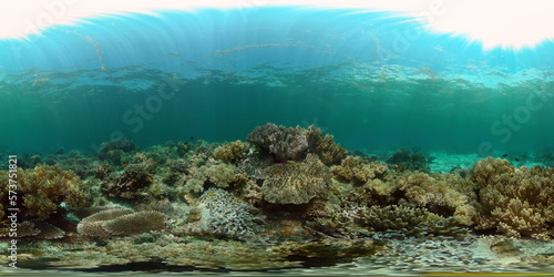 Tropical colourful underwater seascape. Tropical fishes and coral reef underwater. Underwater landscape. Philippines. 360 panorama VR