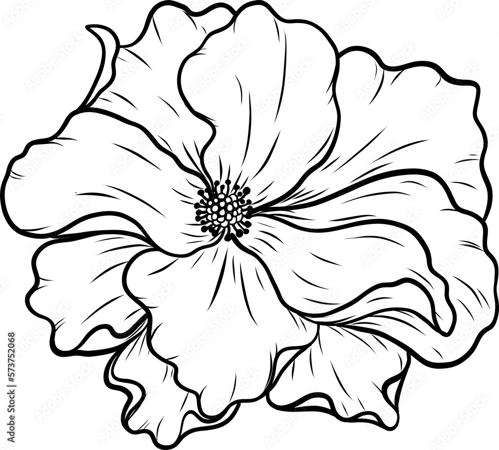 Fototapeta premium Dortmund rose png.Beautiful flower on transparent background.