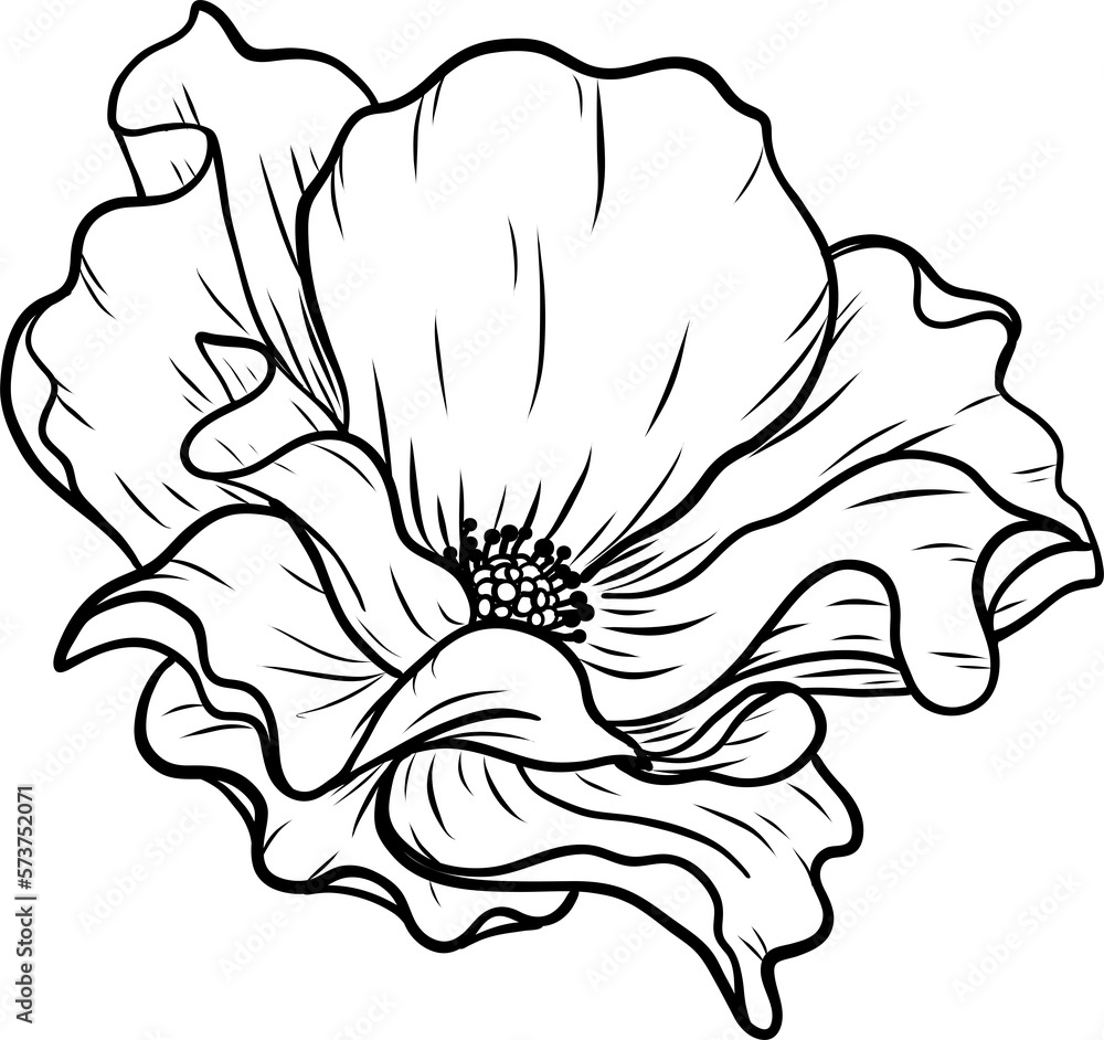 Fototapeta premium Dortmund rose png.Beautiful flower on transparent background.