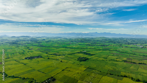 Aerial view of sugarcane plantations against the backdrop of mountains during sunrise. Negros, Philippines