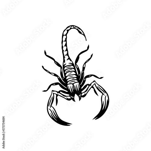 vector illustration of a scorpion