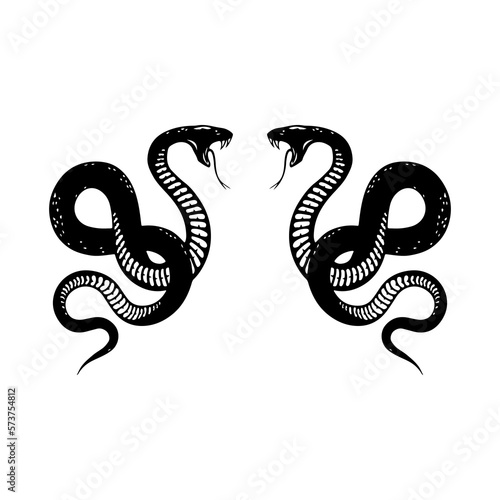 vector illustration of two black snakes