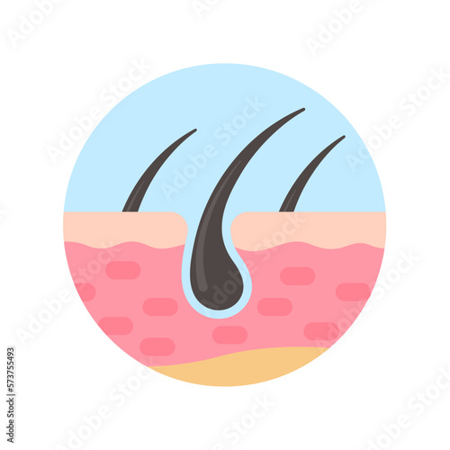 hair follicles on human skin hair disorder hair care