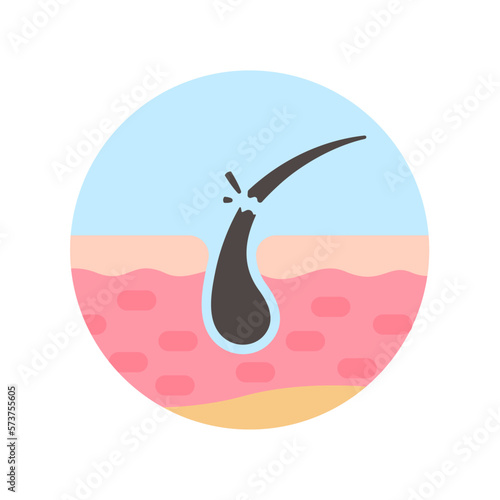 hair follicles on human skin hair disorder hair care