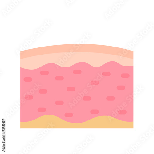 human skin layer Caring for protecting the skin from the sun with a skin serum.