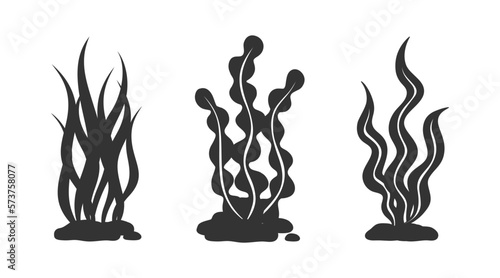 Seaweeds and underwater plants silhouette vector collection. Aquarium, ocean and marine algae water plants. Laminaria kelp and other seafood set