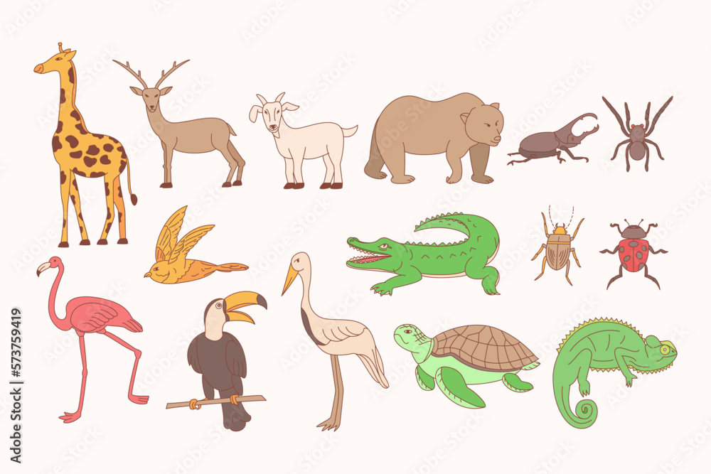 Animal Illustration Pack Animal Illustration Pack