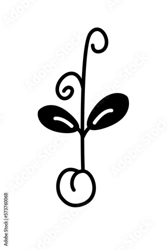 Pea sprout seed micro green black and white doodle outline vector illustration on white background