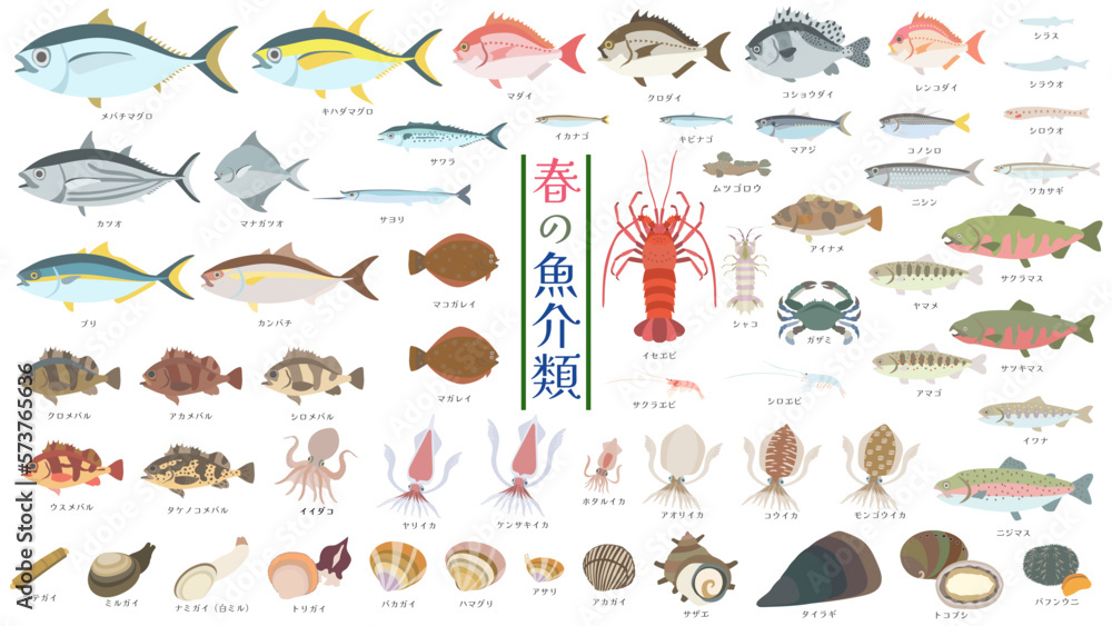 魚介類の分類 – 水産庁 魚種名 ガイドライン , 魚介類・水産物の定義 – INHEPO
