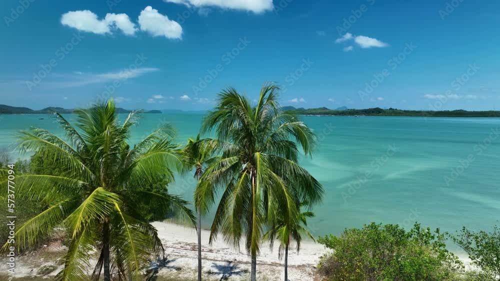 Coconut palm grove at the seashore with Sunny summer sky amazing light Summer sea landscape background Coconut palm grove at the seashore with Sunny summer sky amazing light Summer sea landscape background