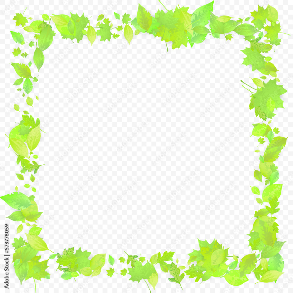 Leaves Falling Spring Flying Foliage Green Leaf Leaves Falling Spring Flying Foliage Green Leaf